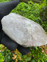 Tourmaline on Quartz Specimen - 528g