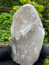 Tourmaline on Quartz Specimen - 528g