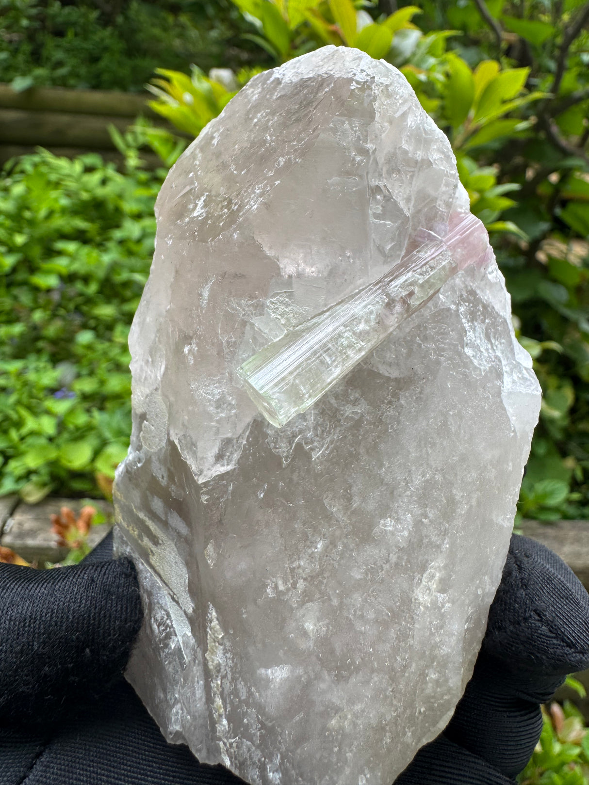 Tourmaline on Quartz Specimen - 528g