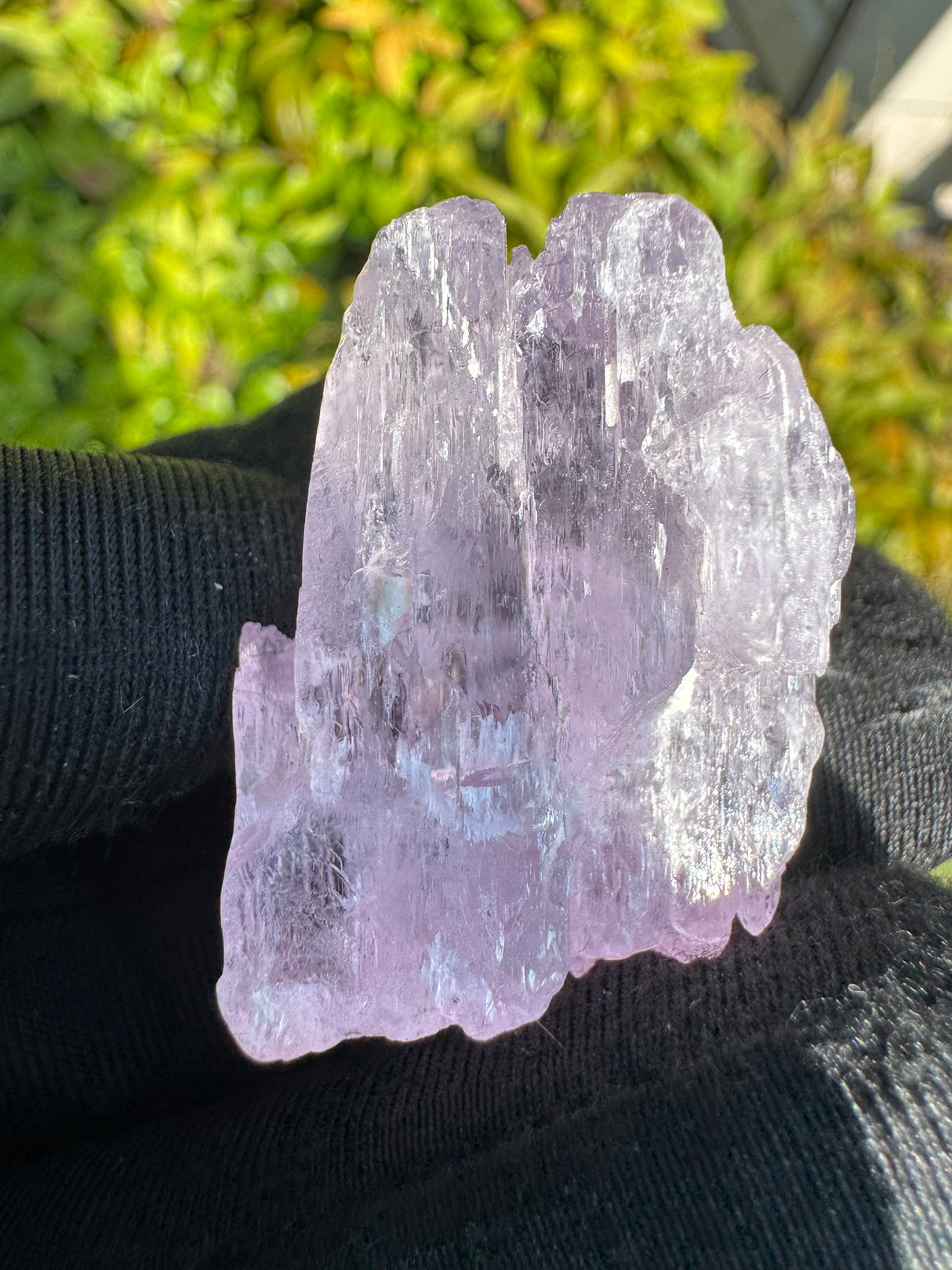 Kunzite Crystals - 27g