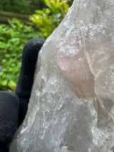 Tourmaline on Quartz Specimen - 528g