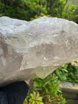 Tourmaline on Quartz Specimen - 528g