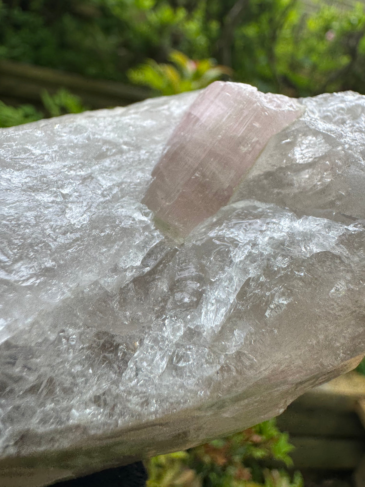Tourmaline on Quartz Specimen - 528g