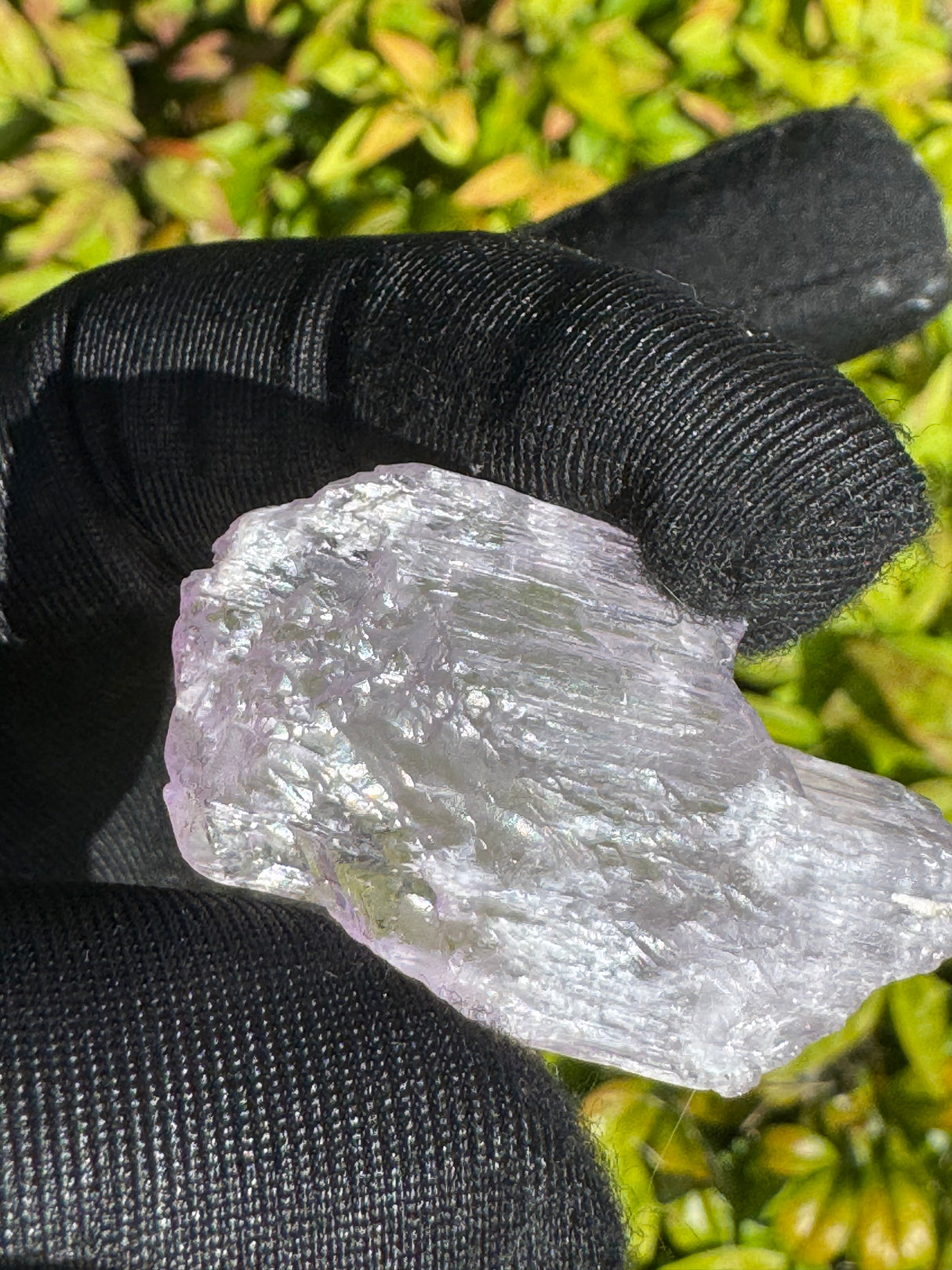 Kunzite Crystals - 18g