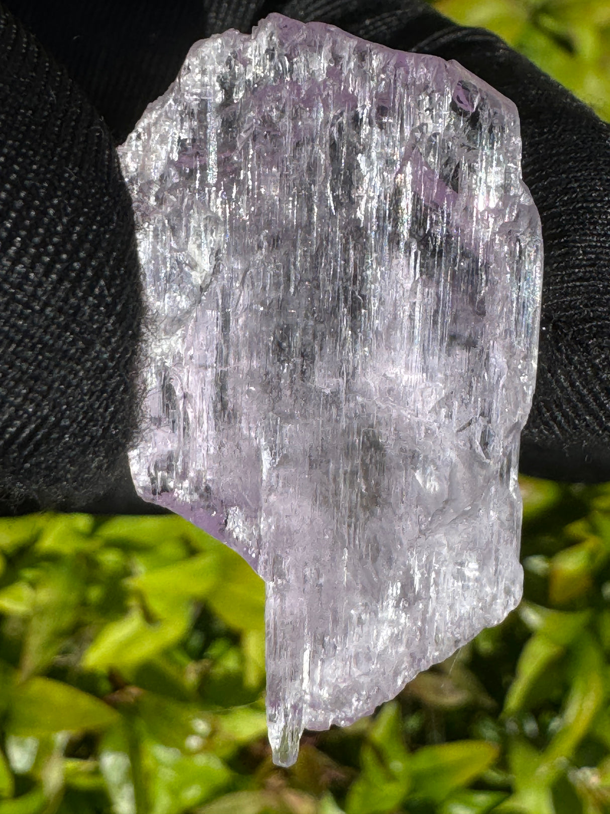 Kunzite Crystals - 18g