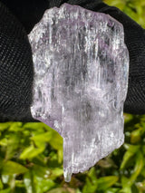 Kunzite Crystals - 18g