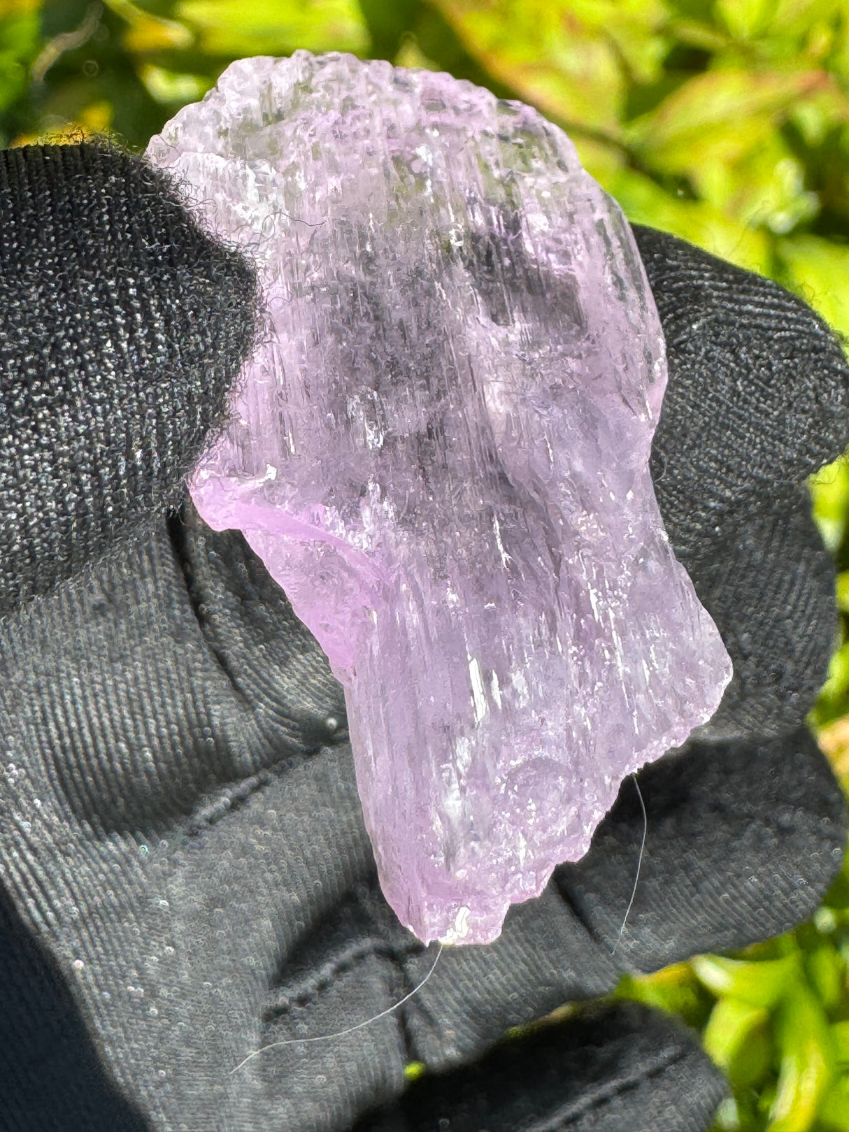 Kunzite Crystals - 18g