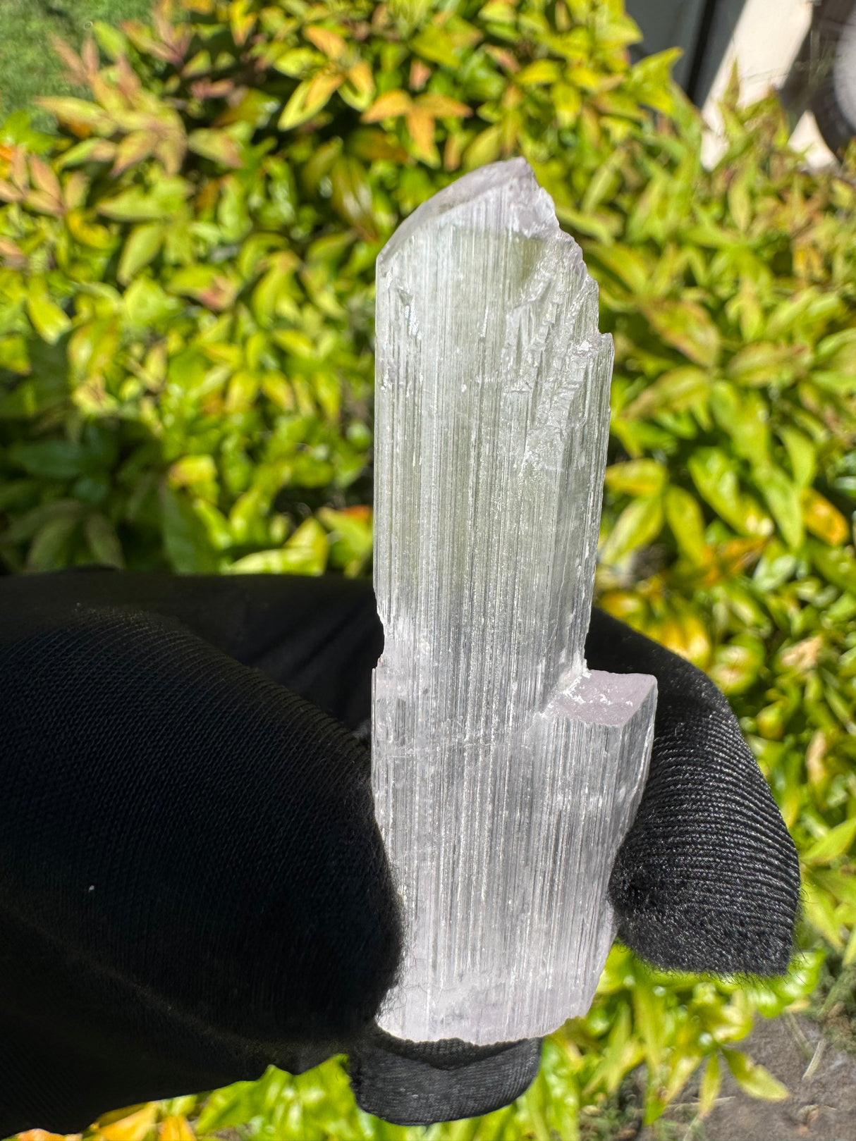 Kunzite Crystals - 16g