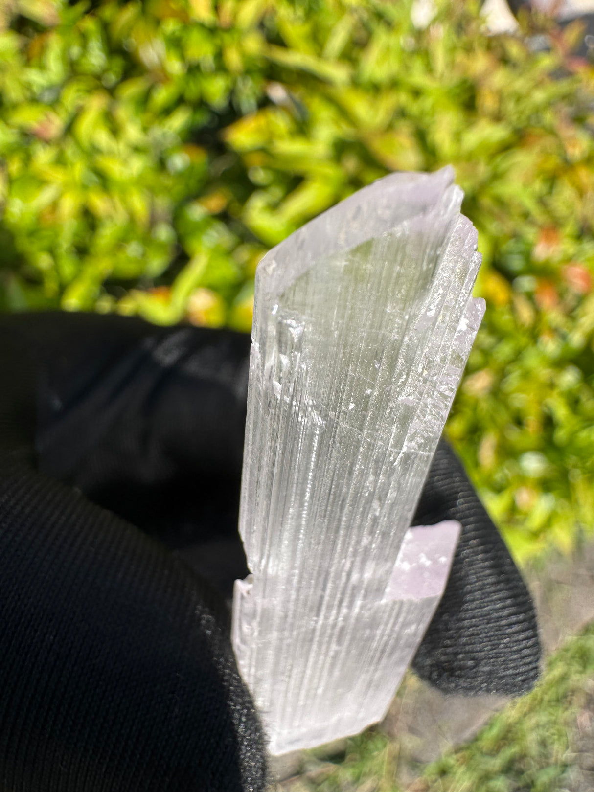 Kunzite Crystals - 16g