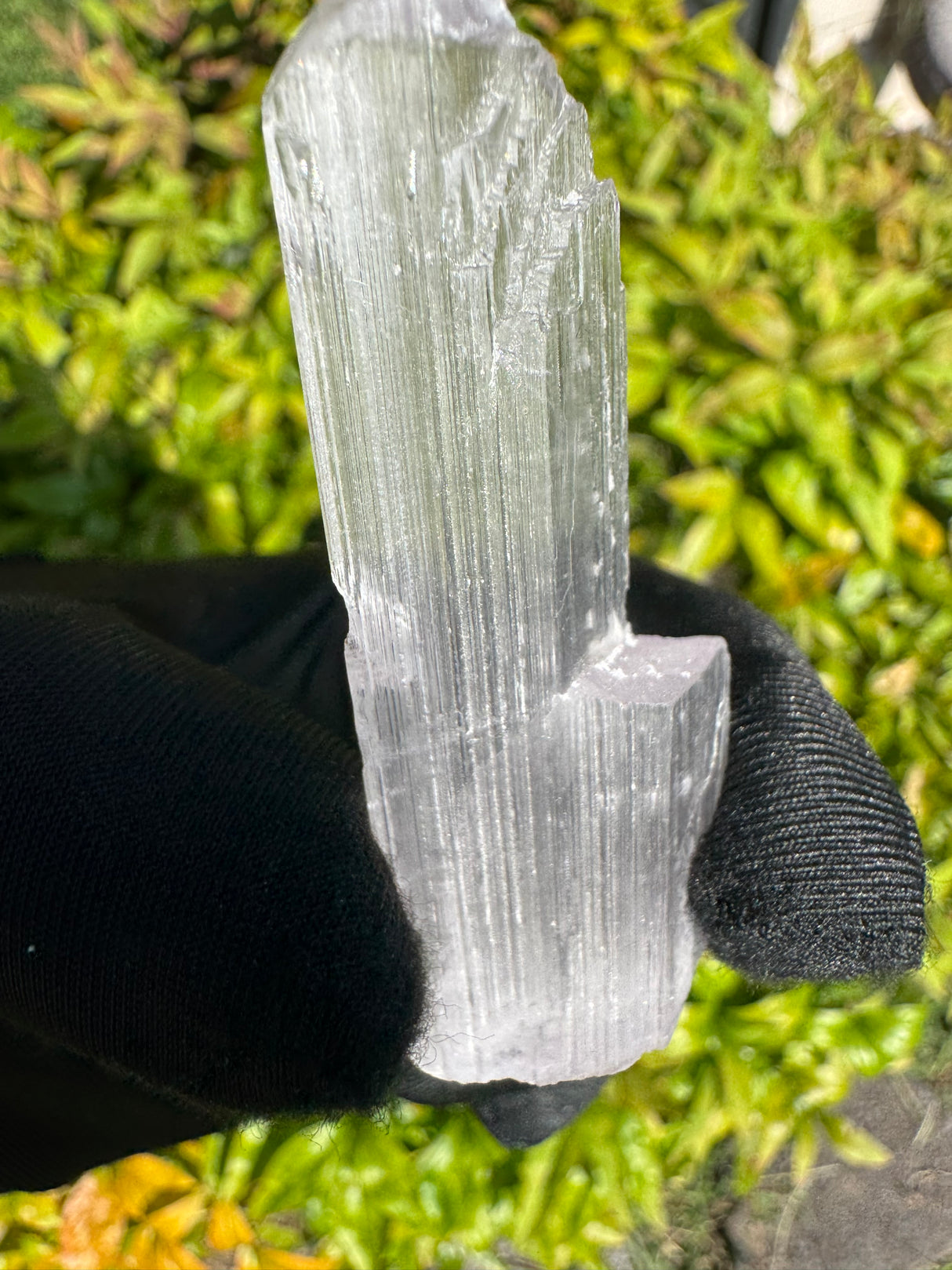 Kunzite Crystals - 16g