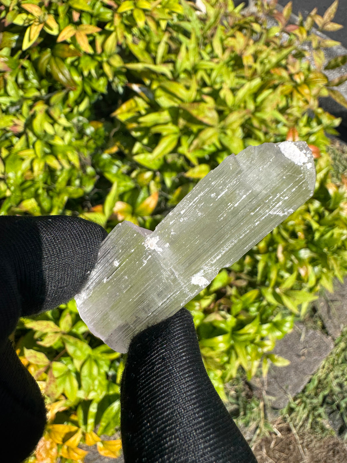 Kunzite Crystals - 16g