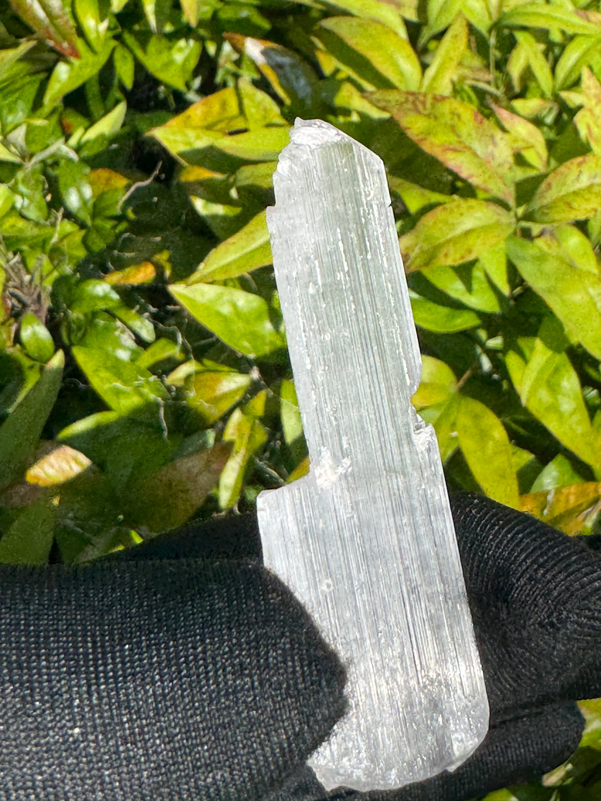 Kunzite Crystals - 16g