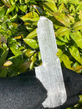 Kunzite Crystals - 16g
