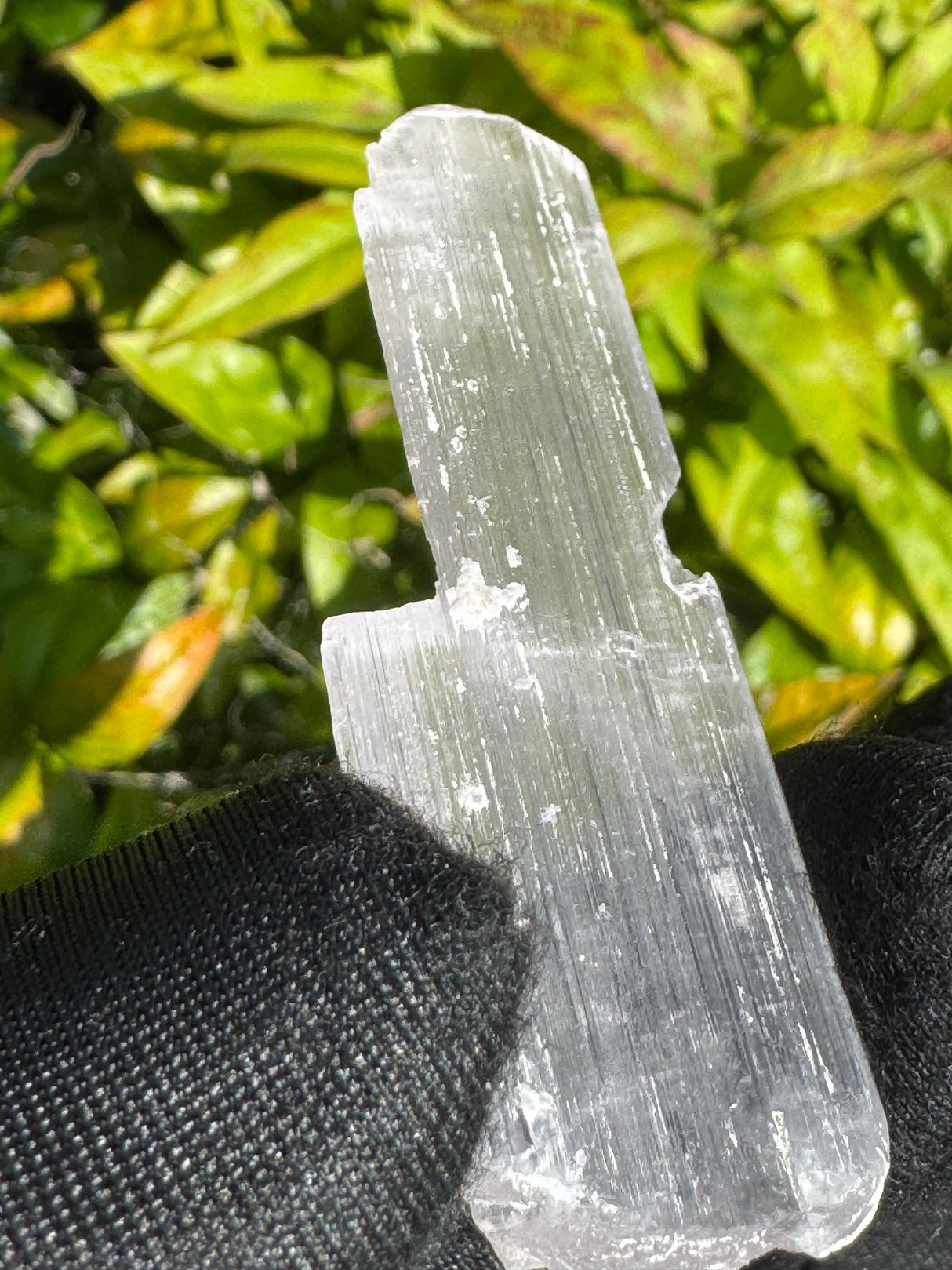 Kunzite Crystals - 16g