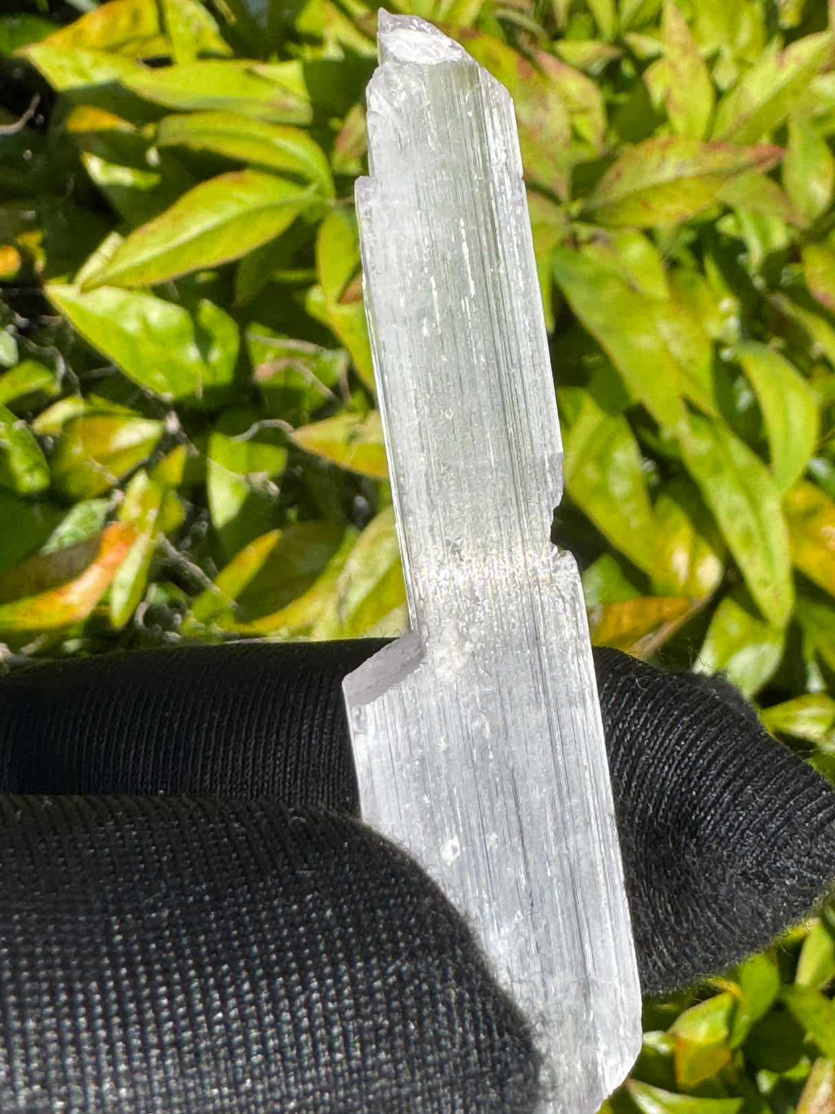 Kunzite Crystals - 16g