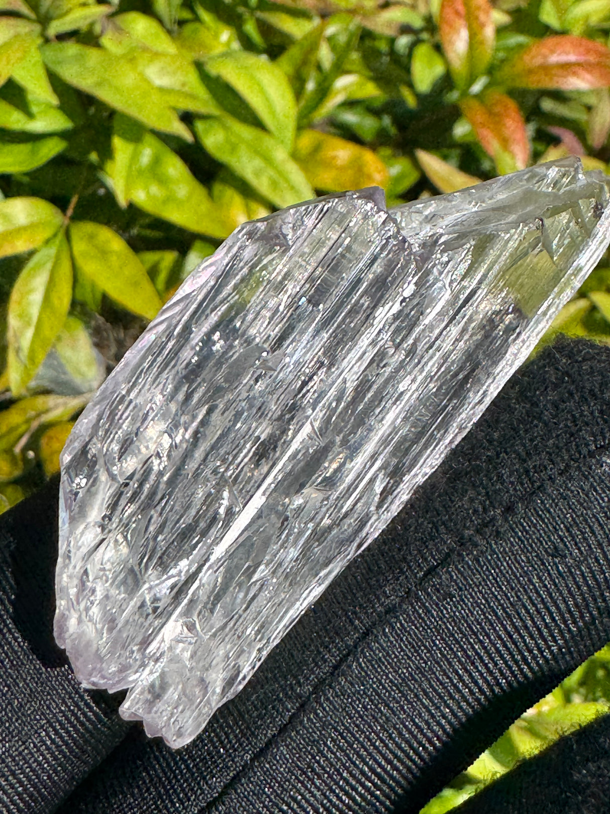 Kunzite Crystals - 30g