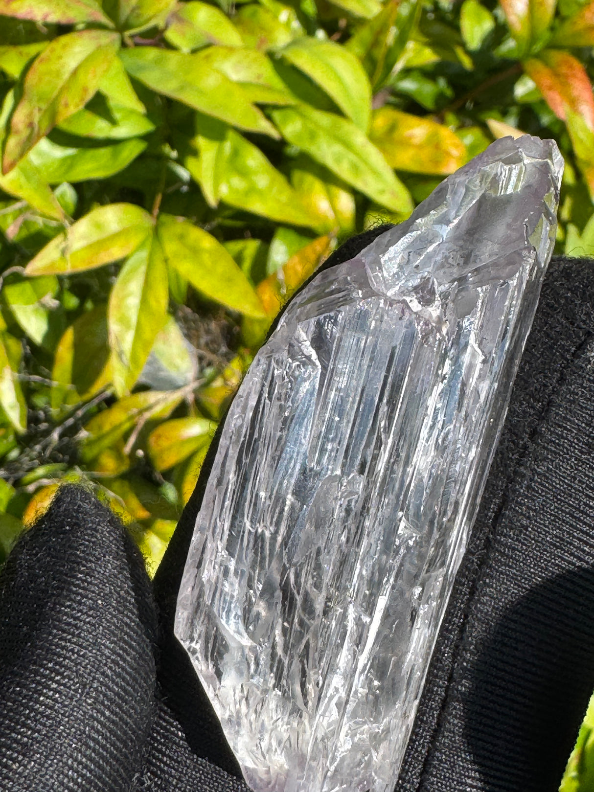Kunzite Crystals - 30g
