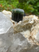Greencap Tourmaline Specimen - 172g