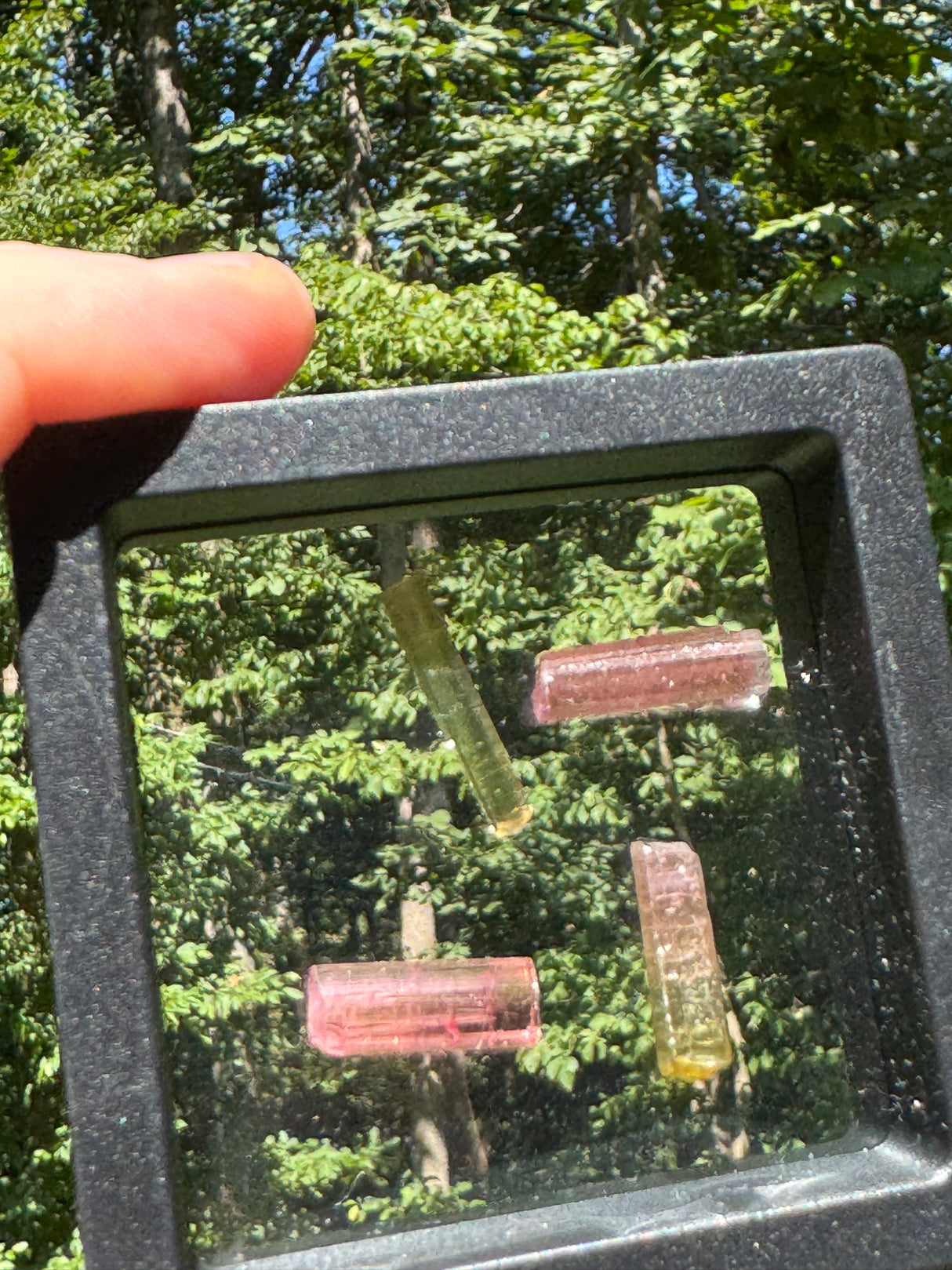 Tourmaline Crystal Set - 5.9g