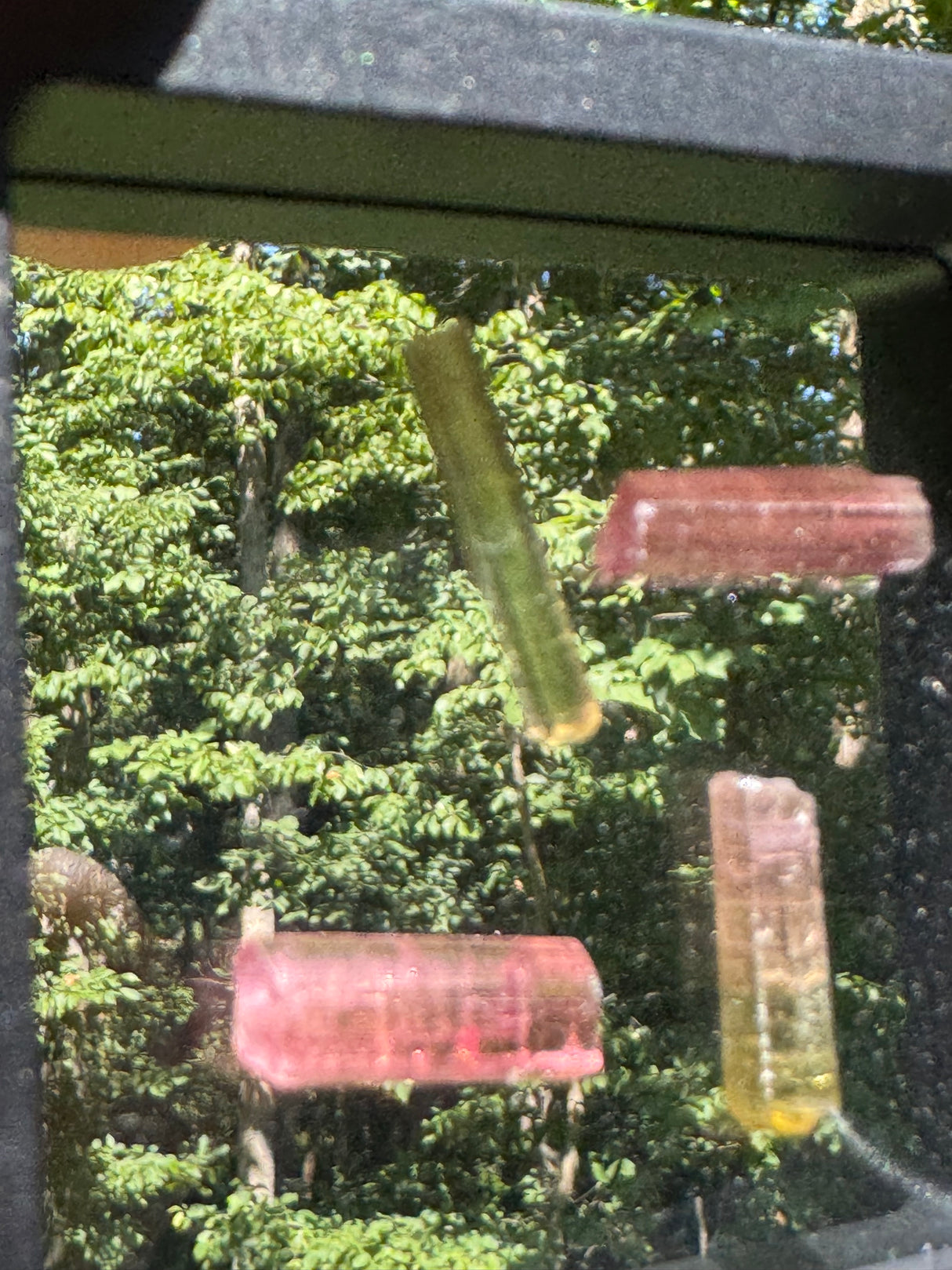 Tourmaline Crystal Set - 5.9g