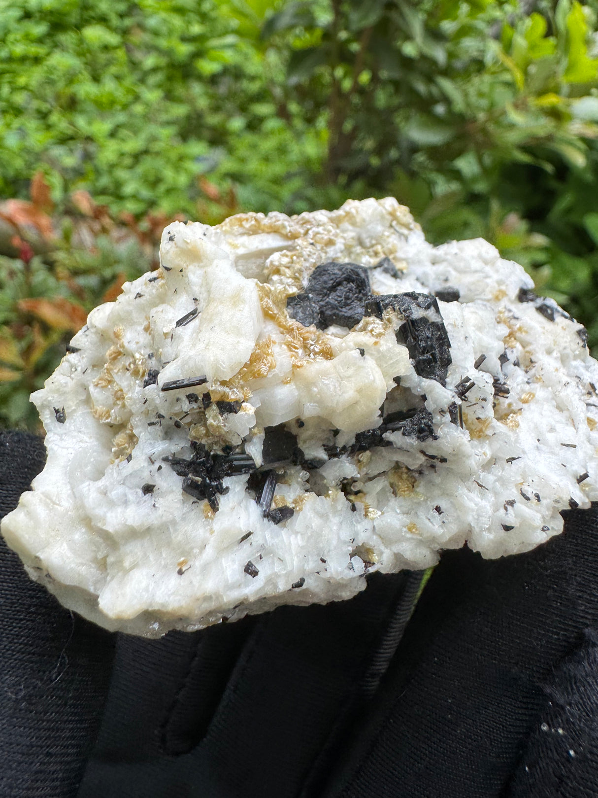 Black Tourmaline Specimen - 100g