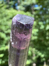 Tourmaline Crystal - 8.65g
