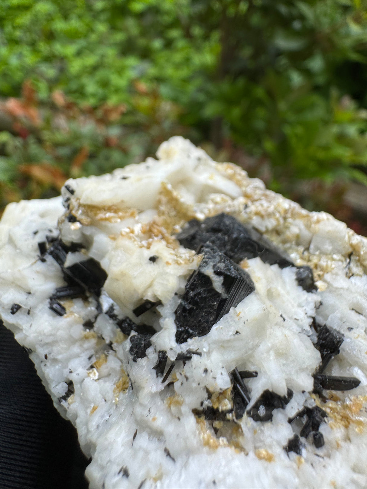 Black Tourmaline Specimen - 100g
