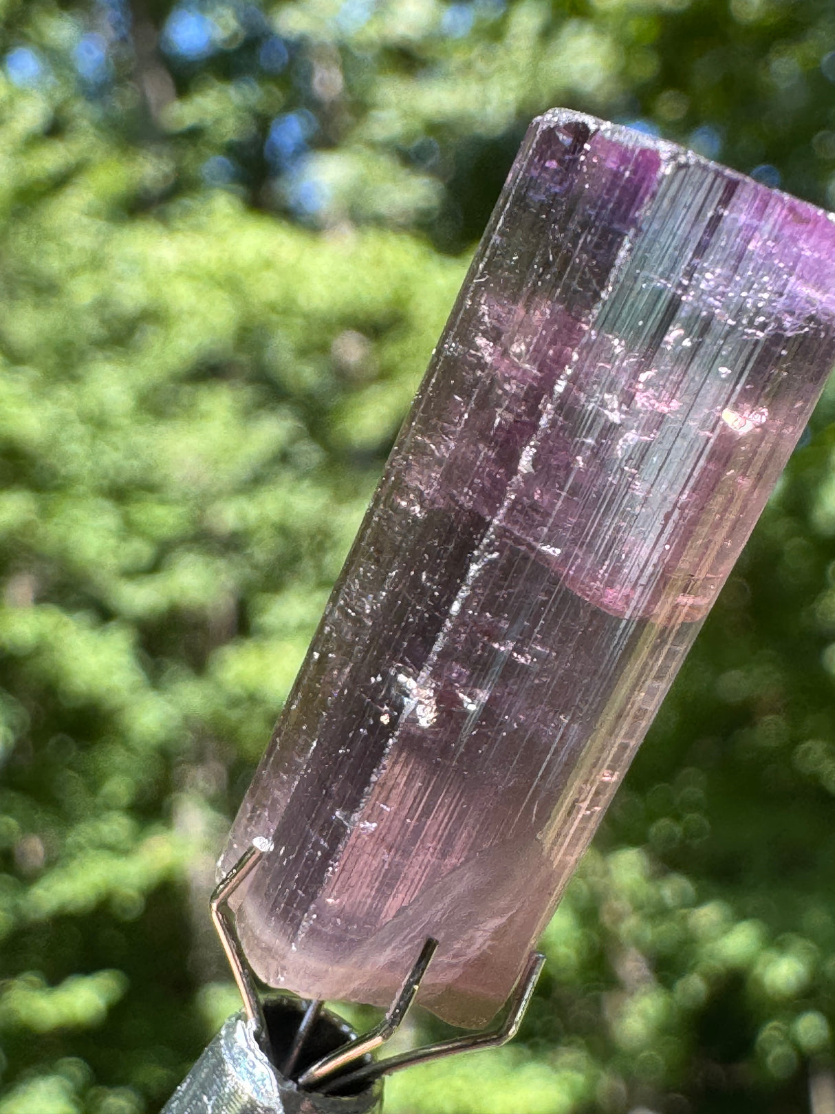 Tourmaline Crystal - 8.65g