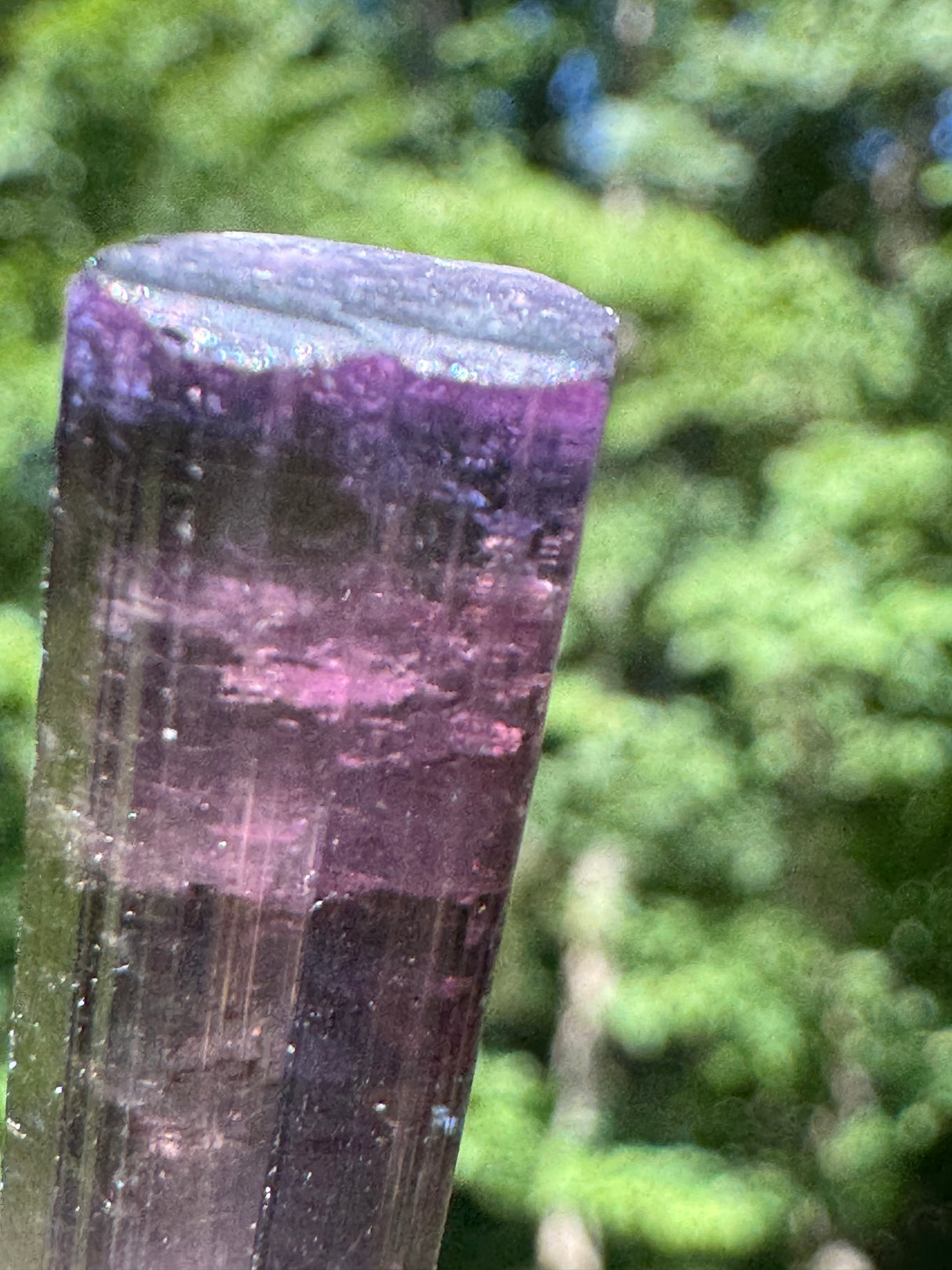 Tourmaline Crystal - 8.65g