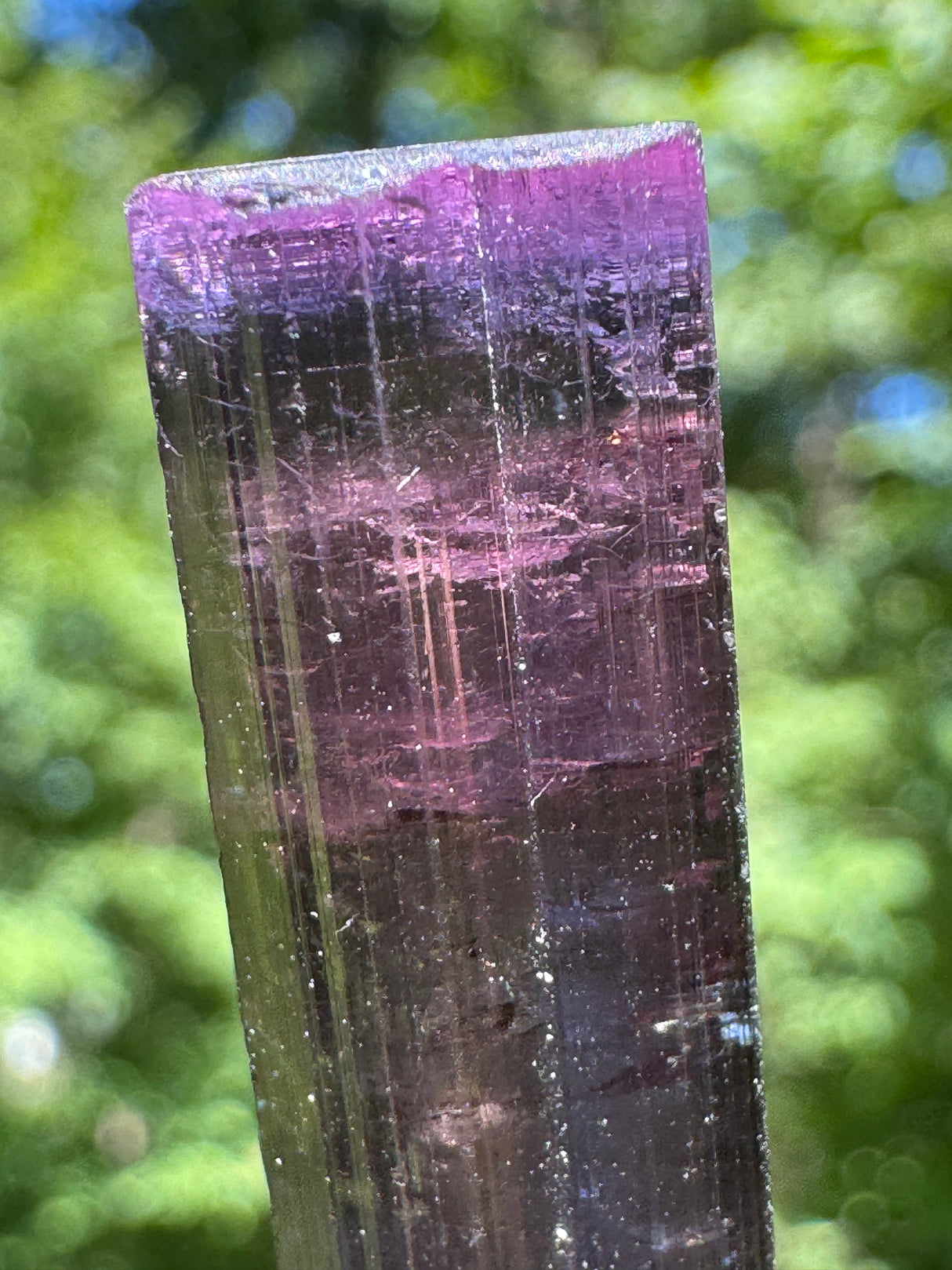 Tourmaline Crystal - 8.65g
