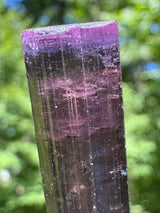 Tourmaline Crystal - 8.65g