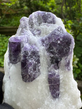 Scapolite Specimen – 253g