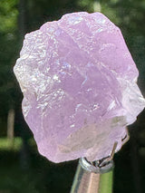 Kunzite Crystals - 35g