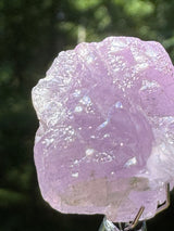 Kunzite Crystals - 35g