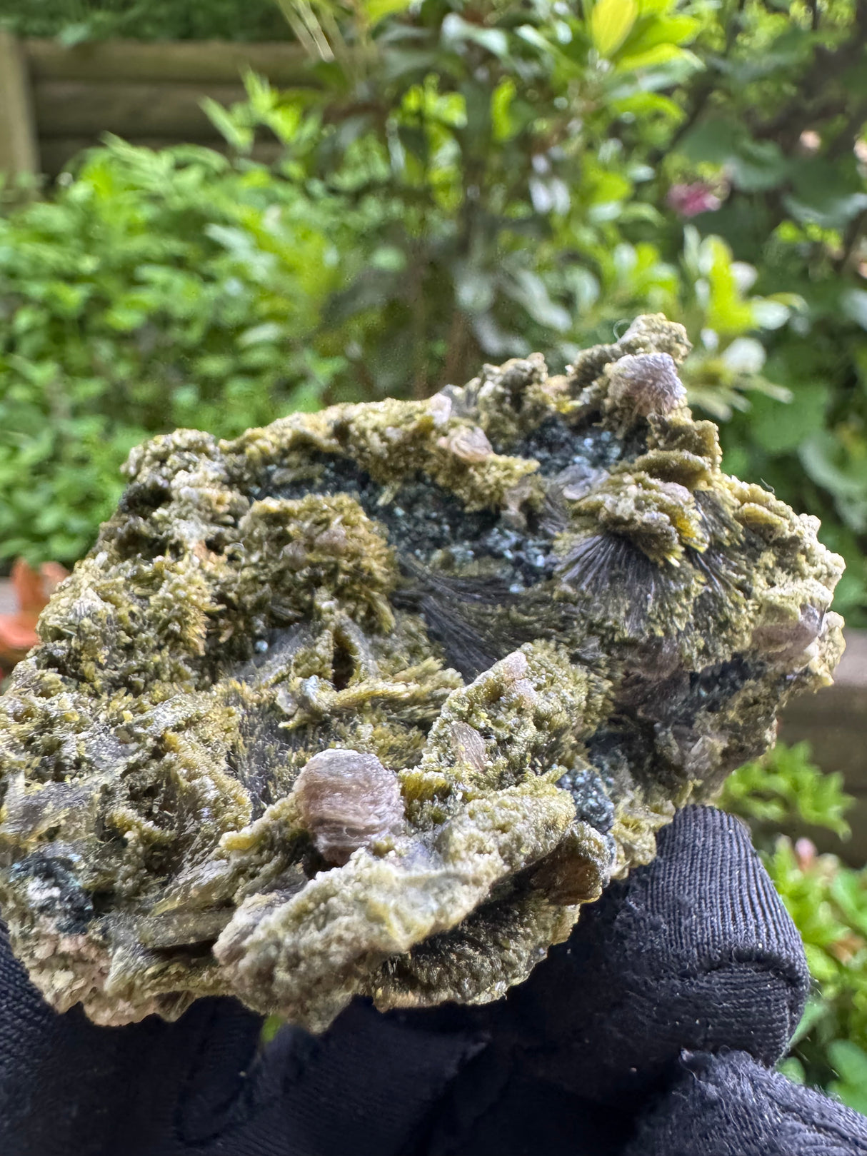 Epidote Crystal Specimen - 113g