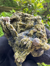 Epidote Crystal Specimen - 113g