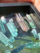 Pink Tourmaline Specimen - 12g