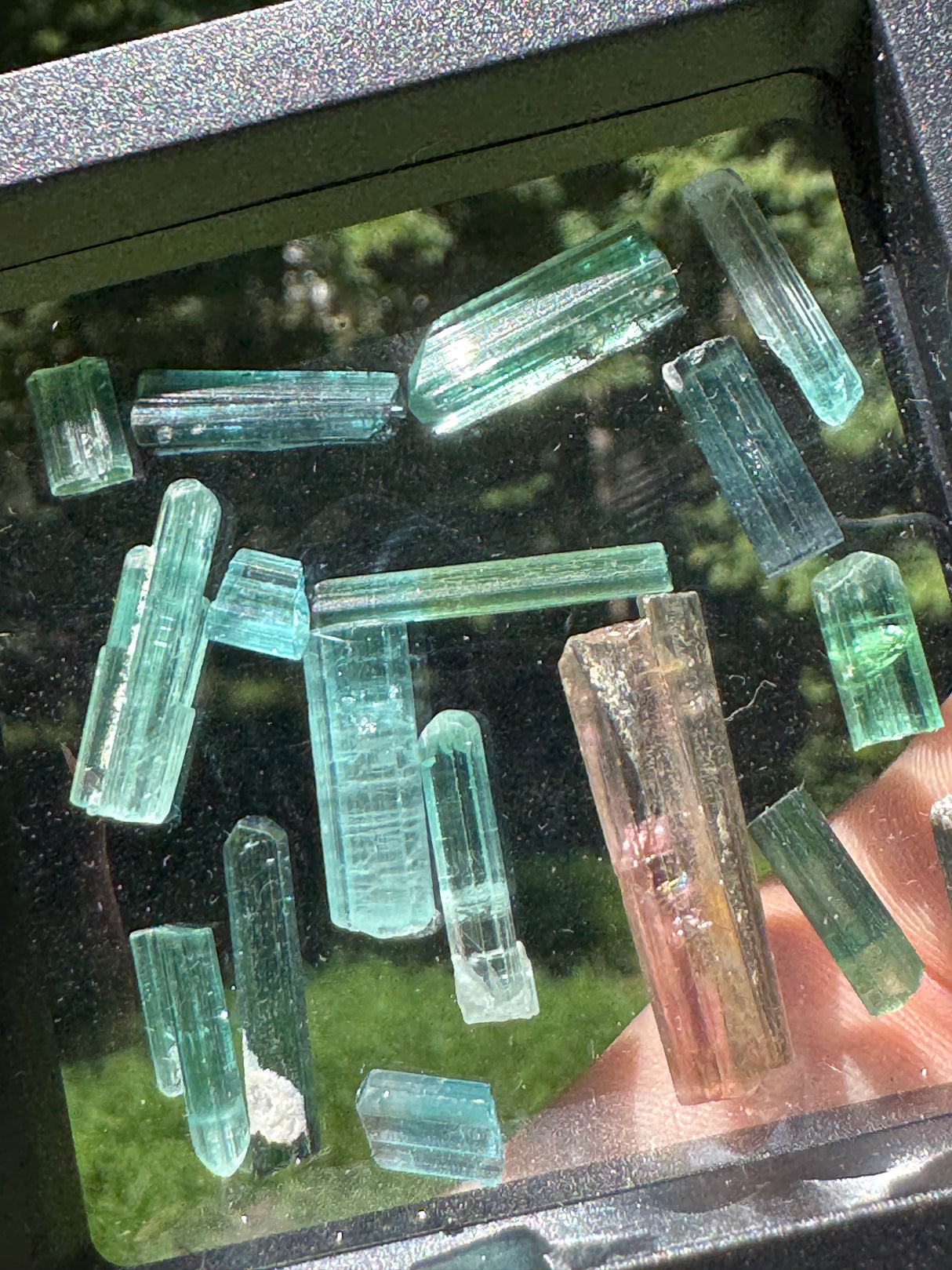 Pink Tourmaline Specimen - 12g