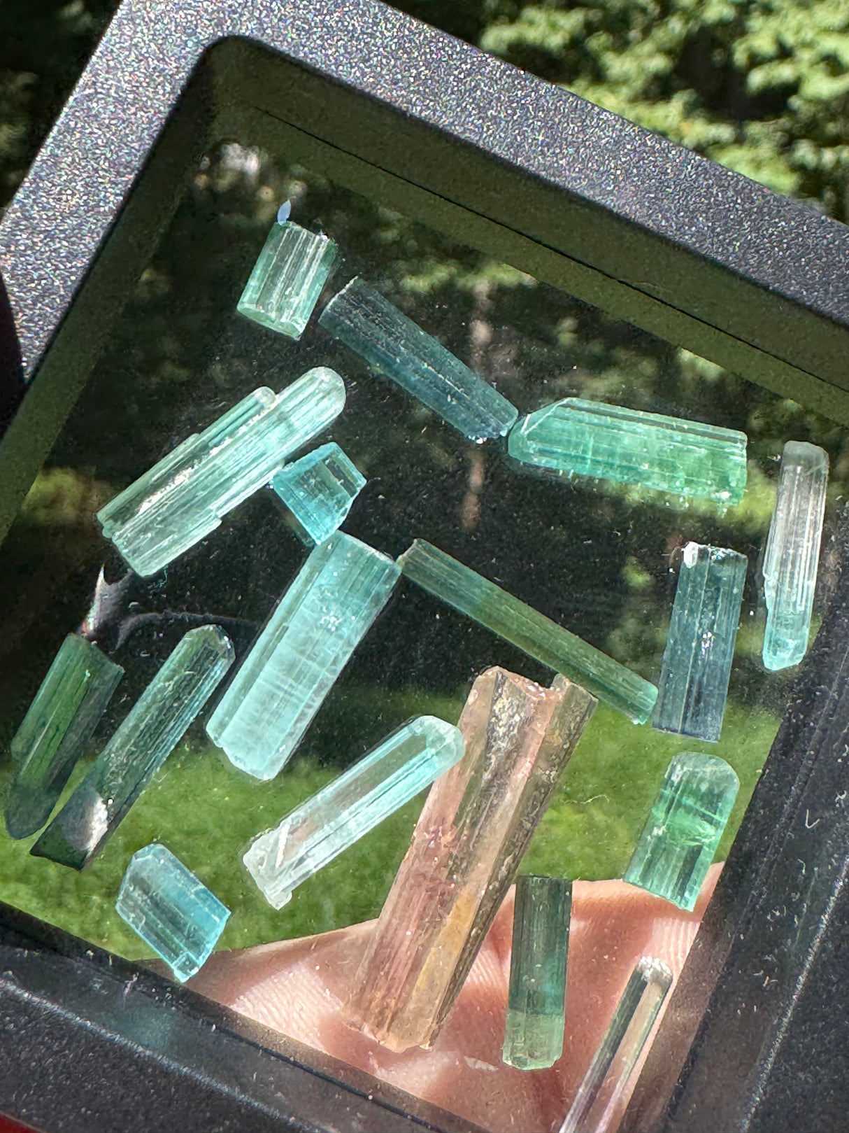 Tourmaline Crystal Set - 12g