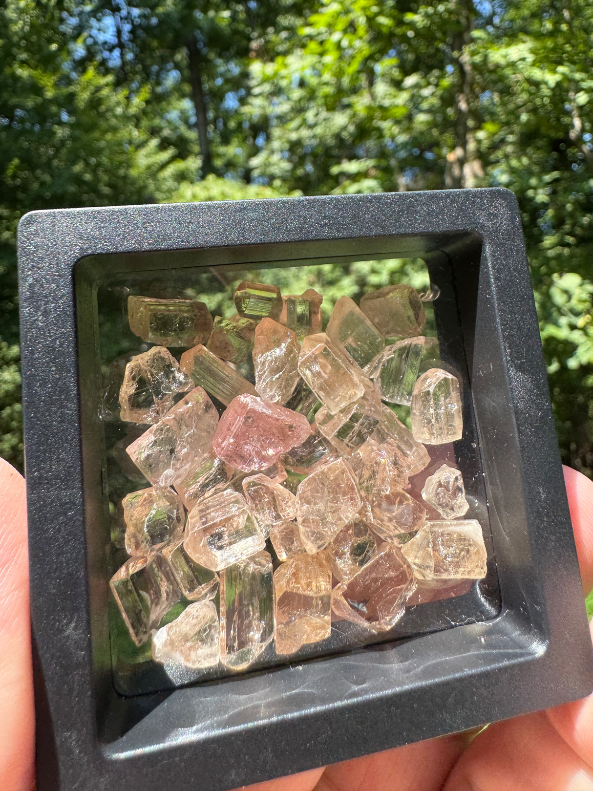 Topaz Crystals Lot w/ case - 36g