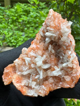 Red Heulandite with Stilbite – 43g