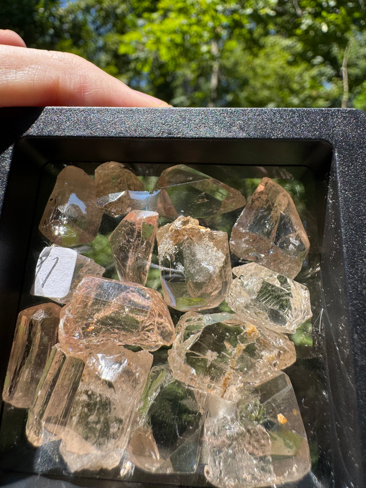 Topaz Crystals Lot w/ case - 57g