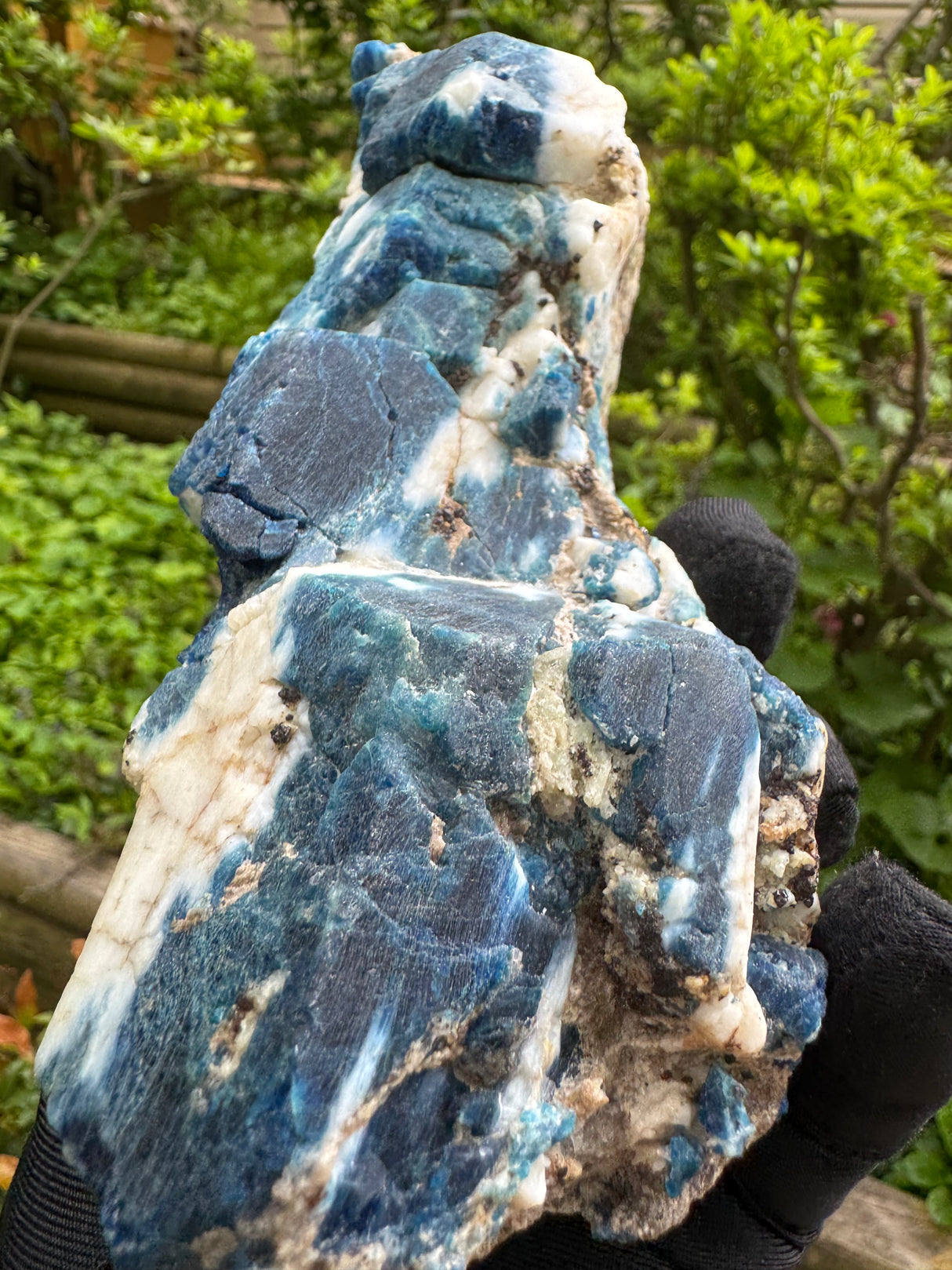 Sodalite and Haüyne Specimen - 860g
