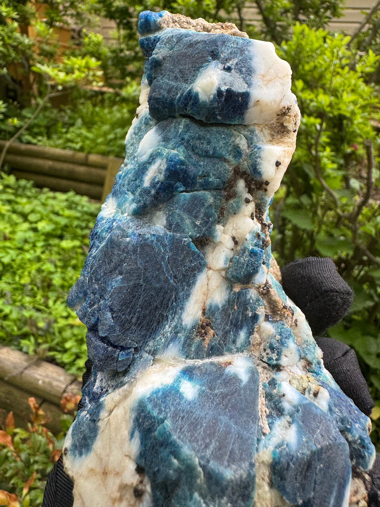 Sodalite and Haüyne Specimen - 860g