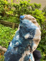 Sodalite and Haüyne Specimen - 860g