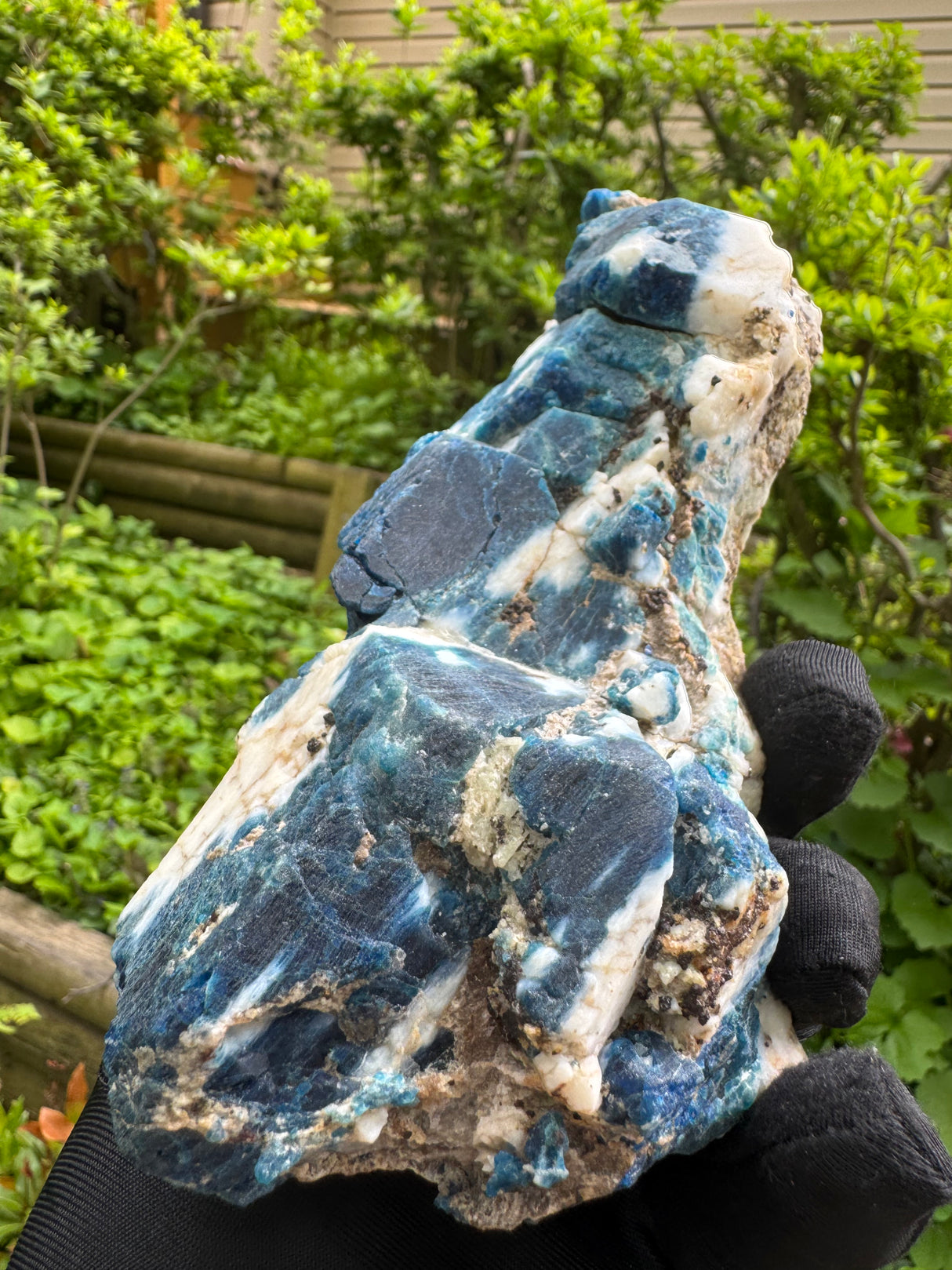 Sodalite and Haüyne Specimen - 860g