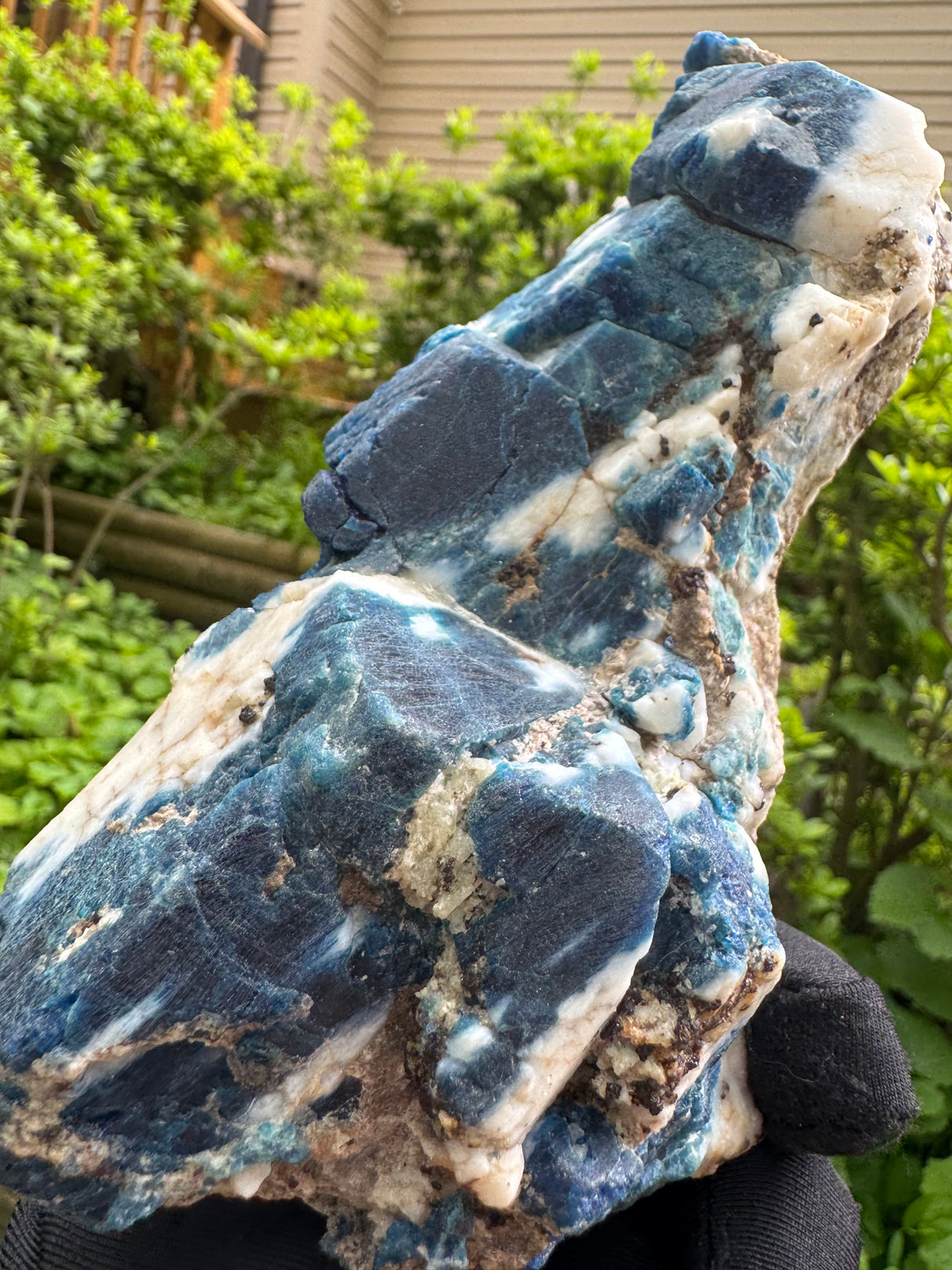 Sodalite and Haüyne Specimen - 860g