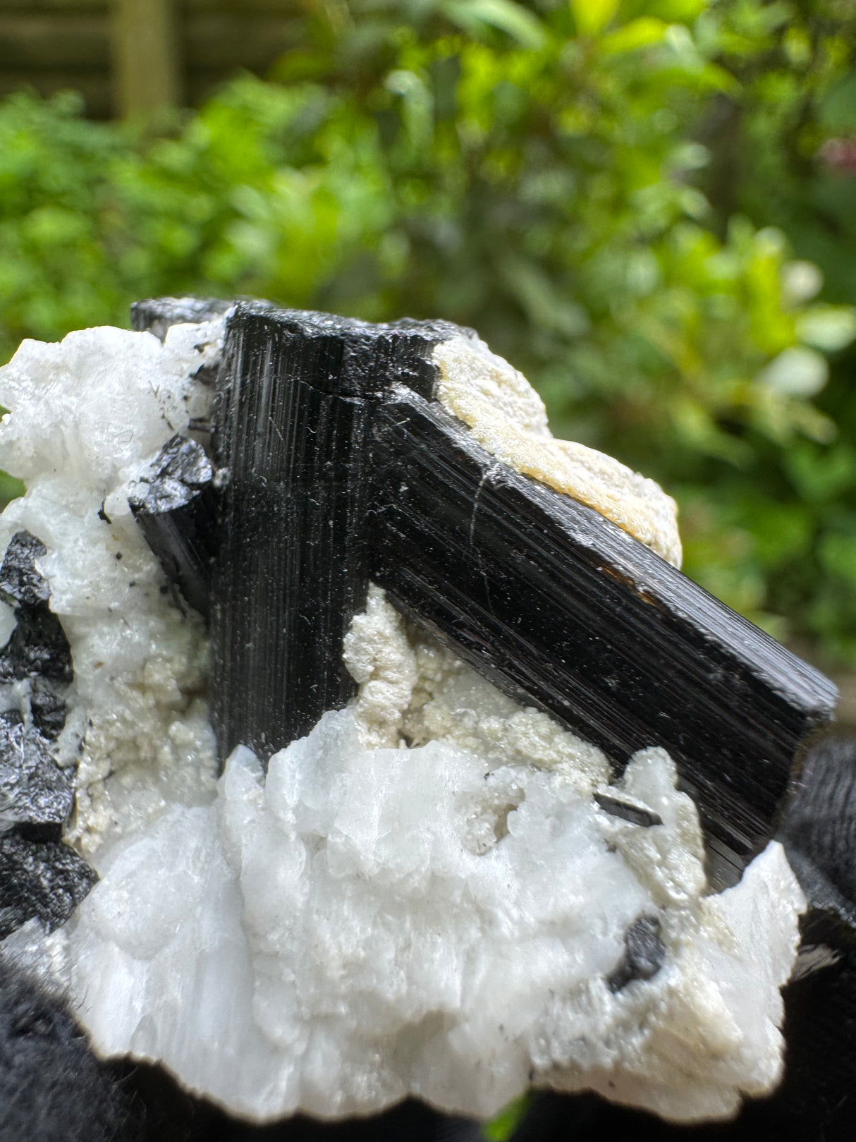 Black Tourmaline Specimen - 37g