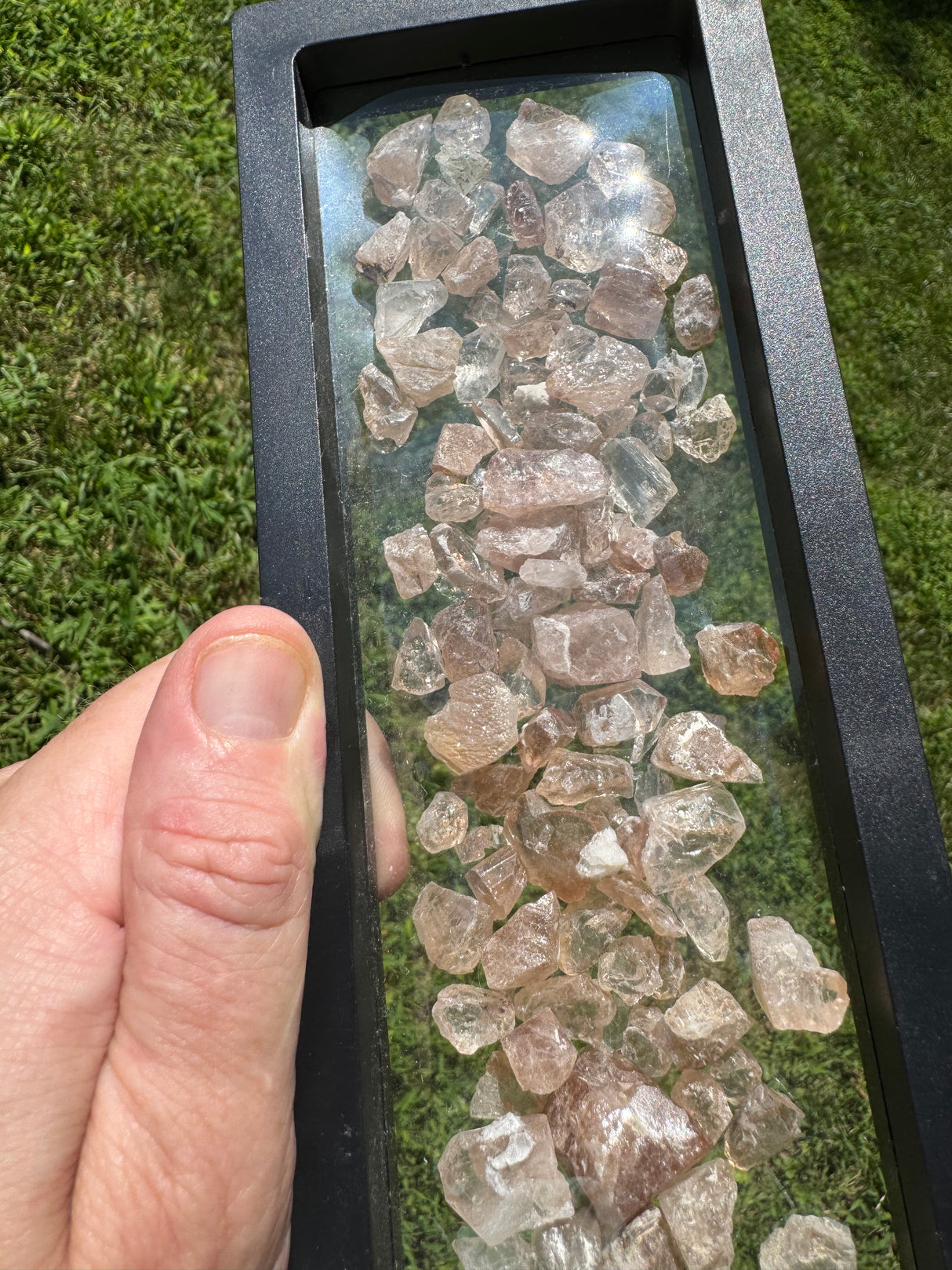 Topaz Crystals Lot w/ case - 141g