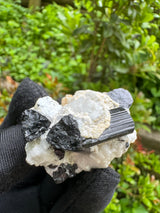 Black Tourmaline Specimen - 37g